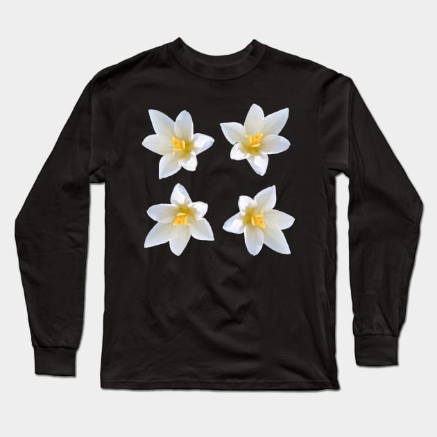 White Crocus Bouquet No Background Long Sleeve T-Shirt by DesignMore21